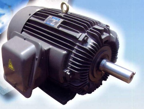 Low Voltage Three Phase Induction Motor